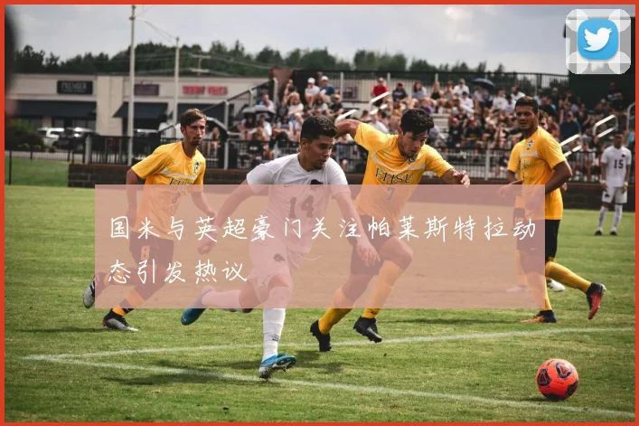 国米与英超豪门关注帕莱斯特拉动态引发热议